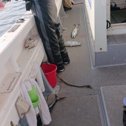 海皇丸 釣果