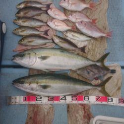 清和丸 釣果
