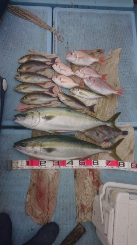 清和丸 釣果