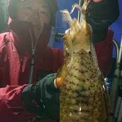 シースナイパー海龍 釣果