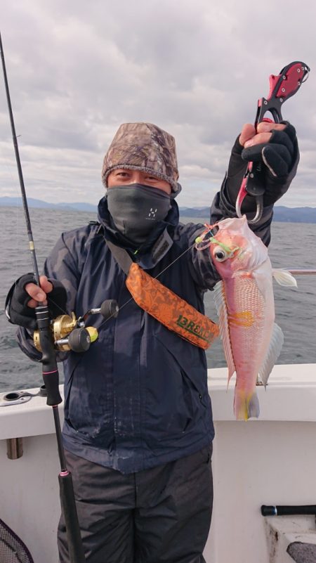 ARCADIAⅡ (アルカディアⅡ) 釣果