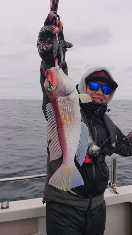 ARCADIAⅡ (アルカディアⅡ) 釣果