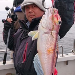 ARCADIAⅡ (アルカディアⅡ) 釣果