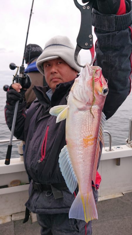 ARCADIAⅡ (アルカディアⅡ) 釣果