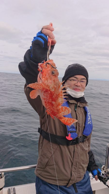 ARCADIAⅡ (アルカディアⅡ) 釣果