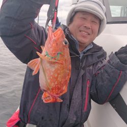 ARCADIAⅡ (アルカディアⅡ) 釣果