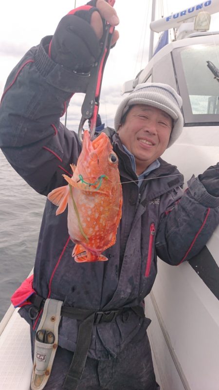 ARCADIAⅡ (アルカディアⅡ) 釣果