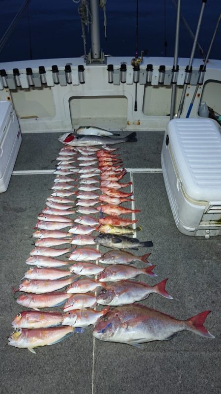 ARCADIAⅡ (アルカディアⅡ) 釣果