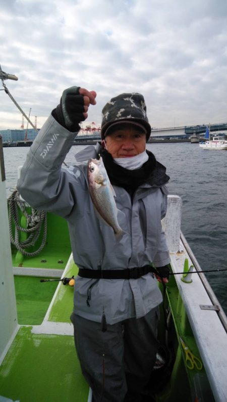 金沢八景鴨下丸 釣果