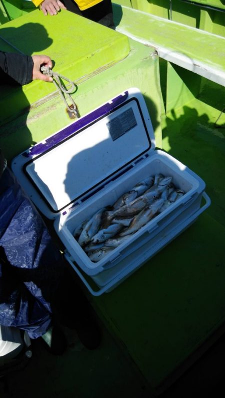 金沢八景鴨下丸 釣果