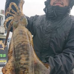 シースナイパー海龍 釣果