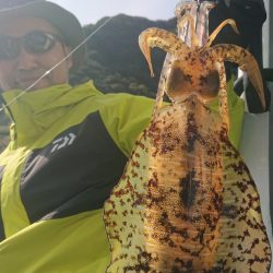 シースナイパー海龍 釣果