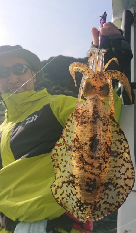 シースナイパー海龍 釣果