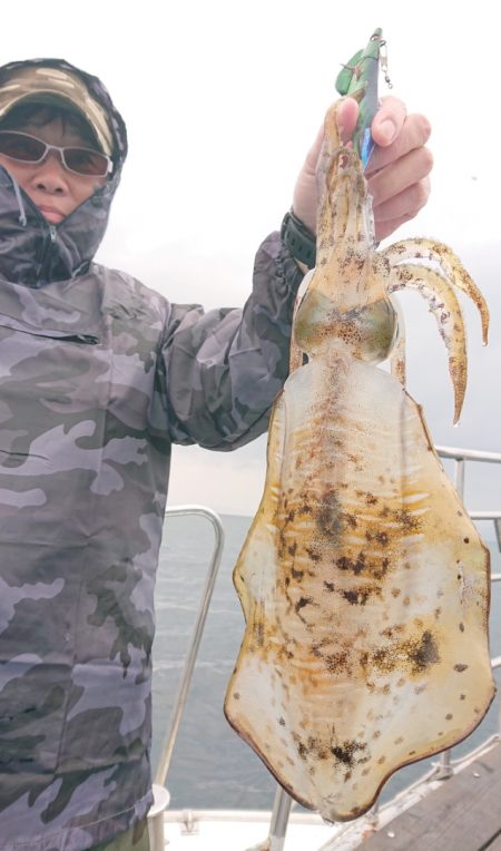 シースナイパー海龍 釣果