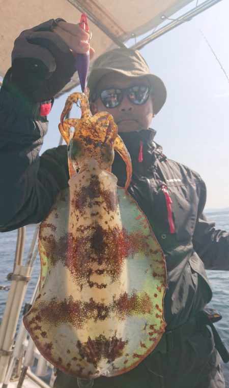 シースナイパー海龍 釣果