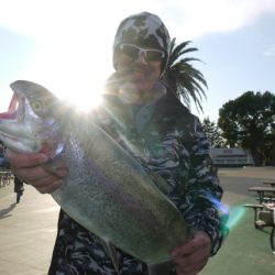 としまえんフィッシングエリア 釣果