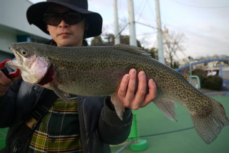 としまえんフィッシングエリア 釣果