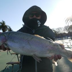 としまえんフィッシングエリア 釣果