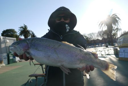 としまえんフィッシングエリア 釣果