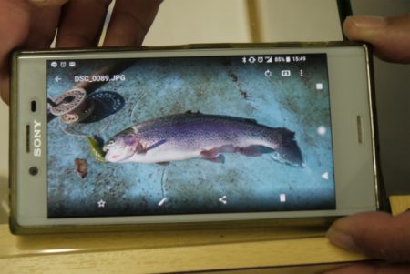 としまえんフィッシングエリア 釣果