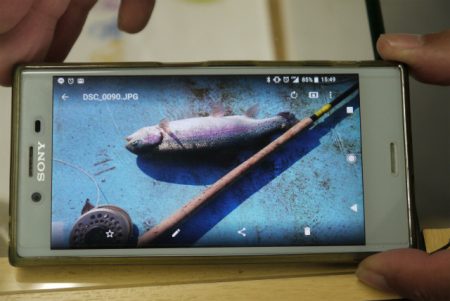 としまえんフィッシングエリア 釣果