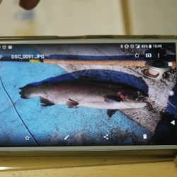 としまえんフィッシングエリア 釣果