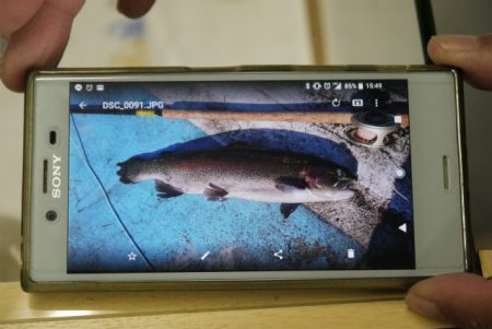 としまえんフィッシングエリア 釣果