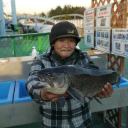 としまえんフィッシングエリア 釣果