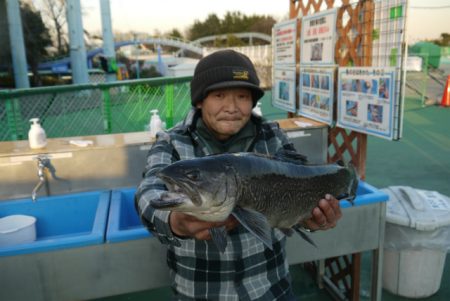 としまえんフィッシングエリア 釣果