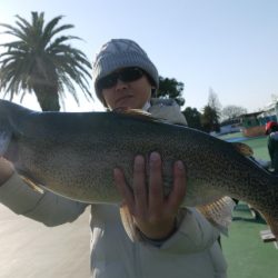としまえんフィッシングエリア 釣果
