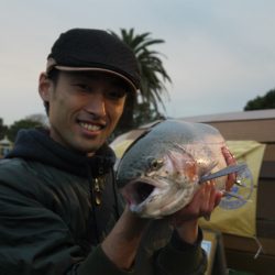 としまえんフィッシングエリア 釣果