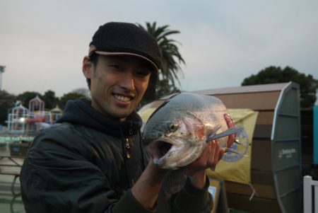 としまえんフィッシングエリア 釣果