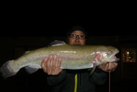 としまえんフィッシングエリア 釣果