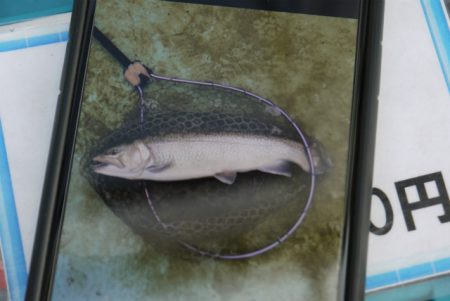 としまえんフィッシングエリア 釣果