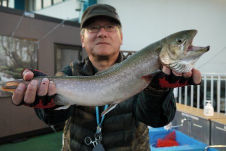 としまえんフィッシングエリア 釣果