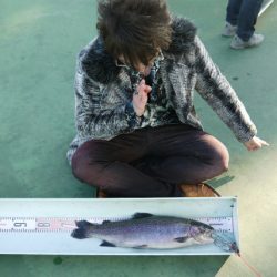 としまえんフィッシングエリア 釣果