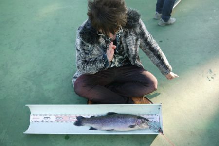 としまえんフィッシングエリア 釣果