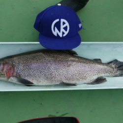 としまえんフィッシングエリア 釣果