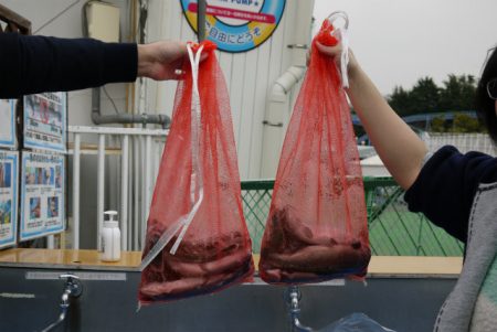 としまえんフィッシングエリア 釣果