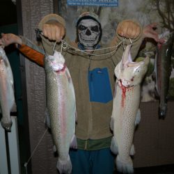 としまえんフィッシングエリア 釣果