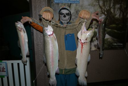 としまえんフィッシングエリア 釣果