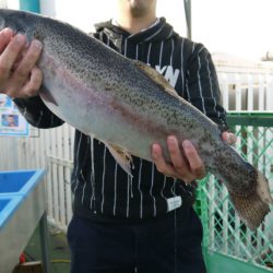 としまえんフィッシングエリア 釣果