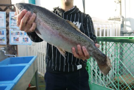 としまえんフィッシングエリア 釣果