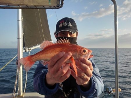 海坊主Ｖ 釣果