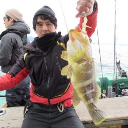 真祐丸 (しんゆうまる) 釣果