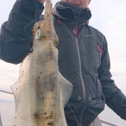 シースナイパー海龍 釣果