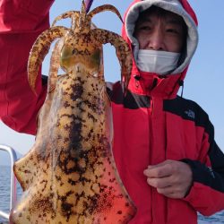シースナイパー海龍 釣果