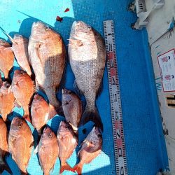 フィッシングガイド りょう 釣果