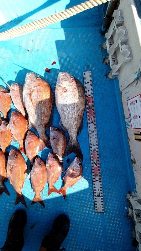 フィッシングガイド りょう 釣果