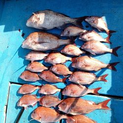 フィッシングガイド りょう 釣果